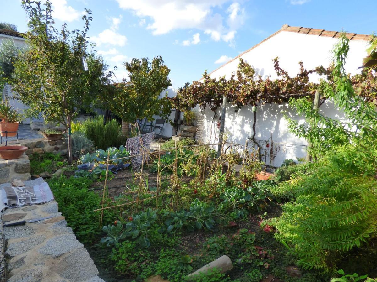 Bed and Breakfast Solar Da Cumeada Регенгуш-ди-Монсараш Экстерьер фото